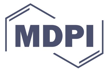 Ali Tourani MDPI Robotics